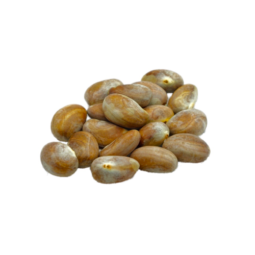 JACKFRUIT SEEDS (KATAL BISI) PER KG
